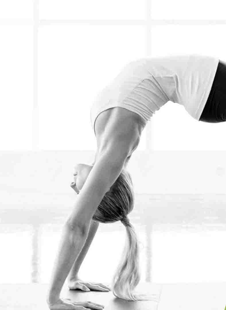 about-gym-bg