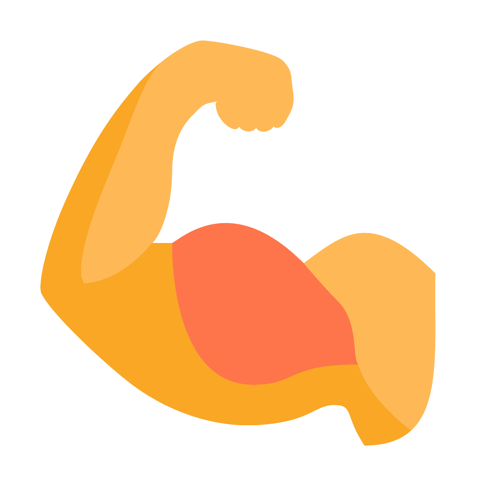 biceps