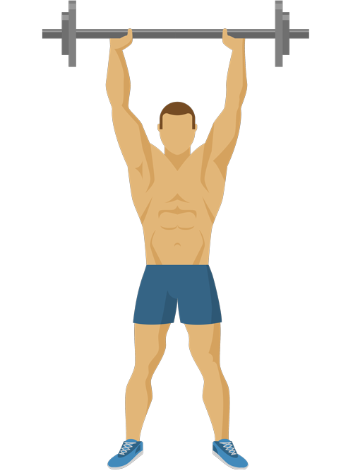 musculacao